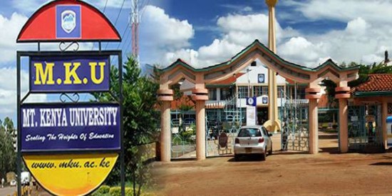 Image result for mt kenya university