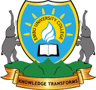 Embu University College