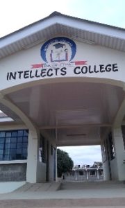 Intellects College