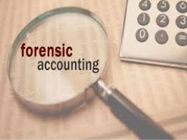 Colleges offering Forensic Accounting