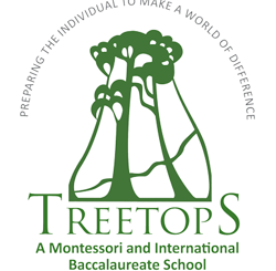 The TreeTops Schools International