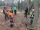 Diploma in Forestry