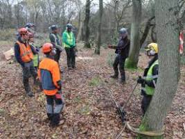 Diploma in Forestry
