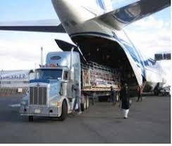 Diploma in International Air Cargo Management