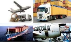 Diploma in International Freight Management