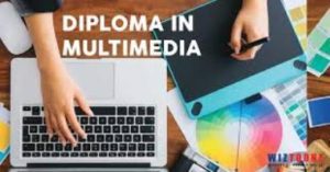 Diploma in Multimedia and Motion Graphics