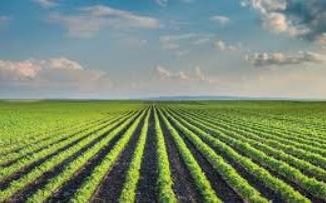 Diploma in Organic Crop Protection