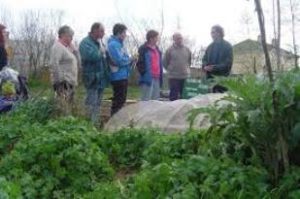 Diploma in Organic Farming Support Systems