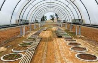 Diploma in Sustainable Agriculture and Rural Development