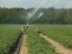 Diploma in Water Resources and Irrigation Management