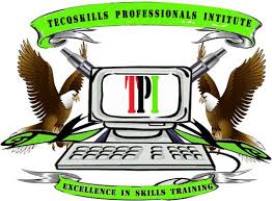 Tecqskills Professionals Institute