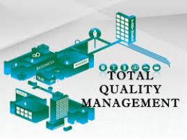 Colleges and Universities Offering Advanced Diploma in Total Quality Management