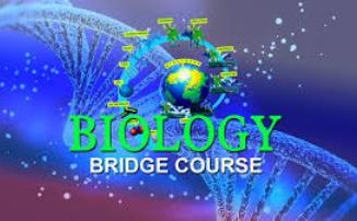 Colleges and Universities Offering Bridging course in Biology
