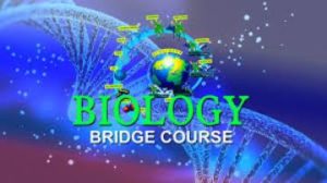 Colleges and Universities Offering Bridging course in Biology