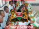 Anding'o Pala Primary School