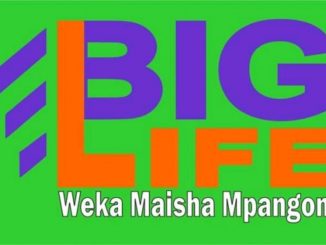 Biglife Group of Companies