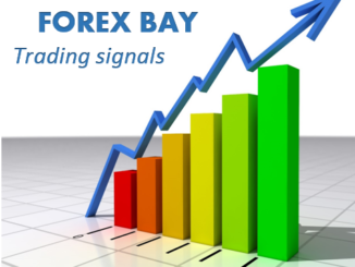 Bay Forex Limited Branch