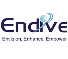 Endive Software
