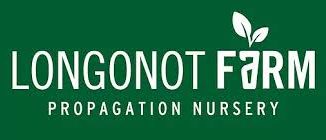 Longonot Outlets Ltd