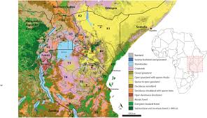 Trema East Africa Ltd